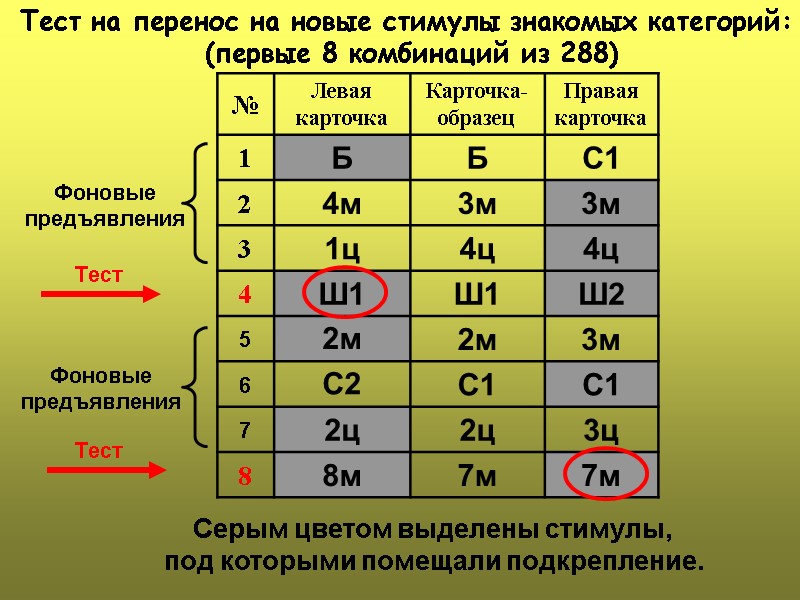Тест на перенос на новые стимулы знакомых категорий:  (первые 8 комбинаций из 288)